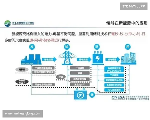 建业足球俱乐部组织结构与功能分析：从管理模式到运营机制的深度探讨